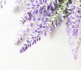 Creations Aromatiques