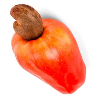 Hạt điều