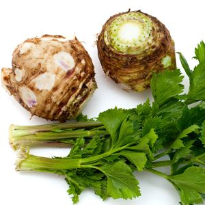 Rễ cần tây