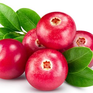 Quả nam việt quất