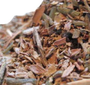 Vỏ Cây Cascarilla
