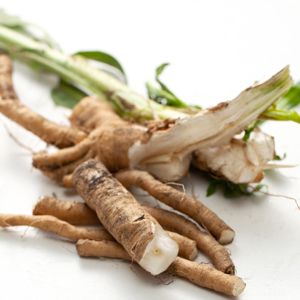 Rau diếp xoăn