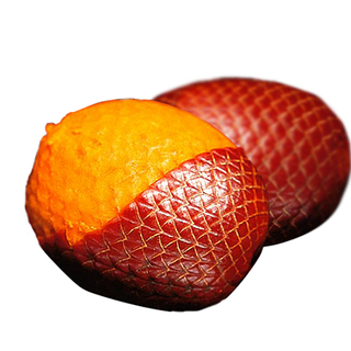 Cọ Buriti