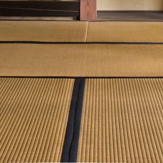 Chiếu tatami