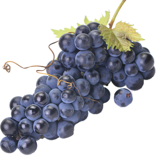 Nho Cabernet