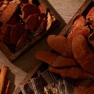 Thảo Dược Thuốc Bắc