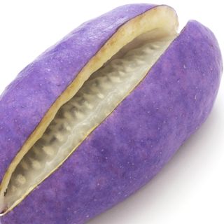 Quả Akebia