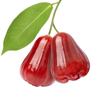 Quả Roi