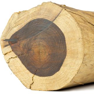 Gỗ cẩm lai