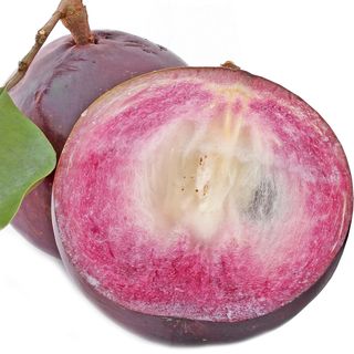 Quả vú sữa