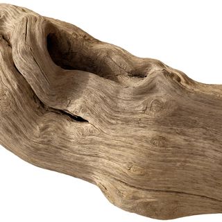 Gỗ Trôi Dạt