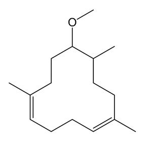 Hương Lorenox