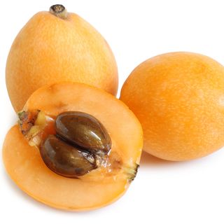 Sơn trà Nhật Bản