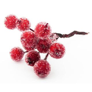 Quả mọng phủ sương