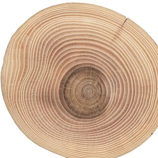 Hợp chất hương gỗ