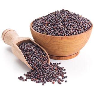 Hạt mù tạt