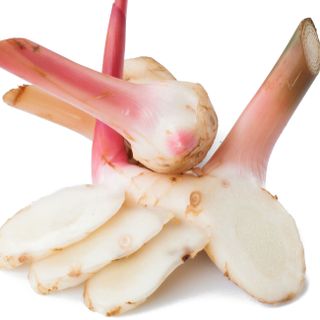 Cây riềng nếp Cây riềng nếp