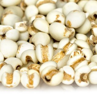 Hạt Ý Dĩ