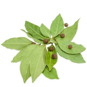 Lá Ớt Pimento