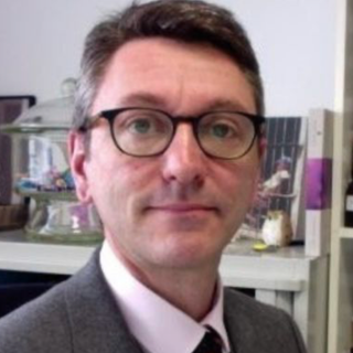Bruno Herve