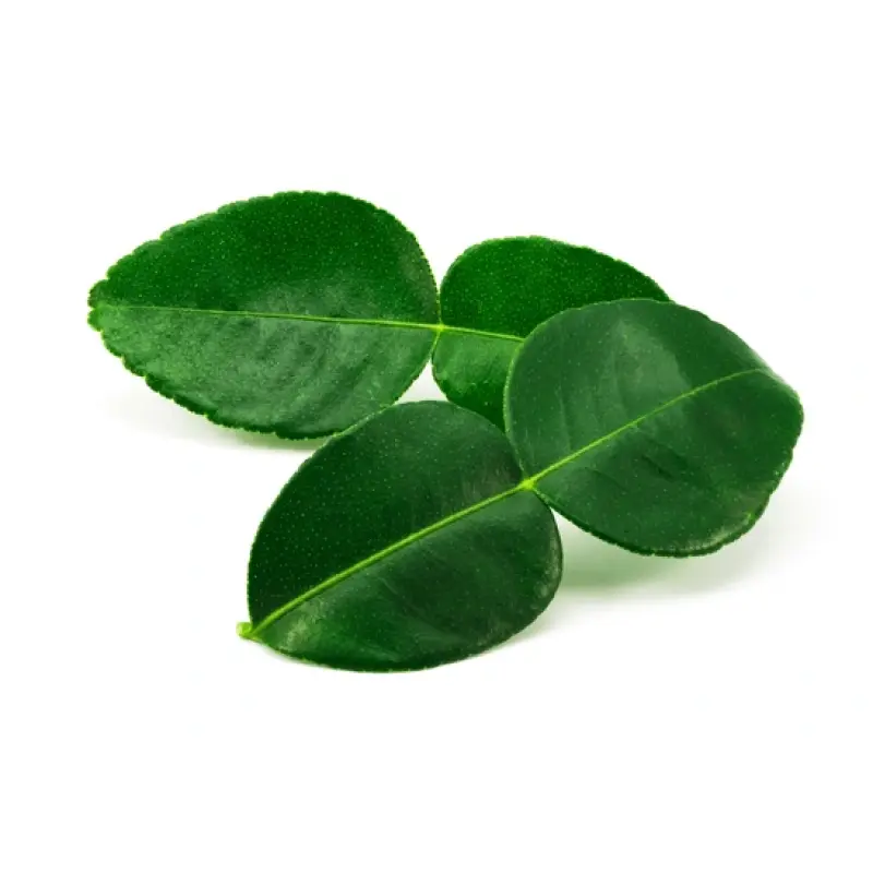 Lá cam Bergamot