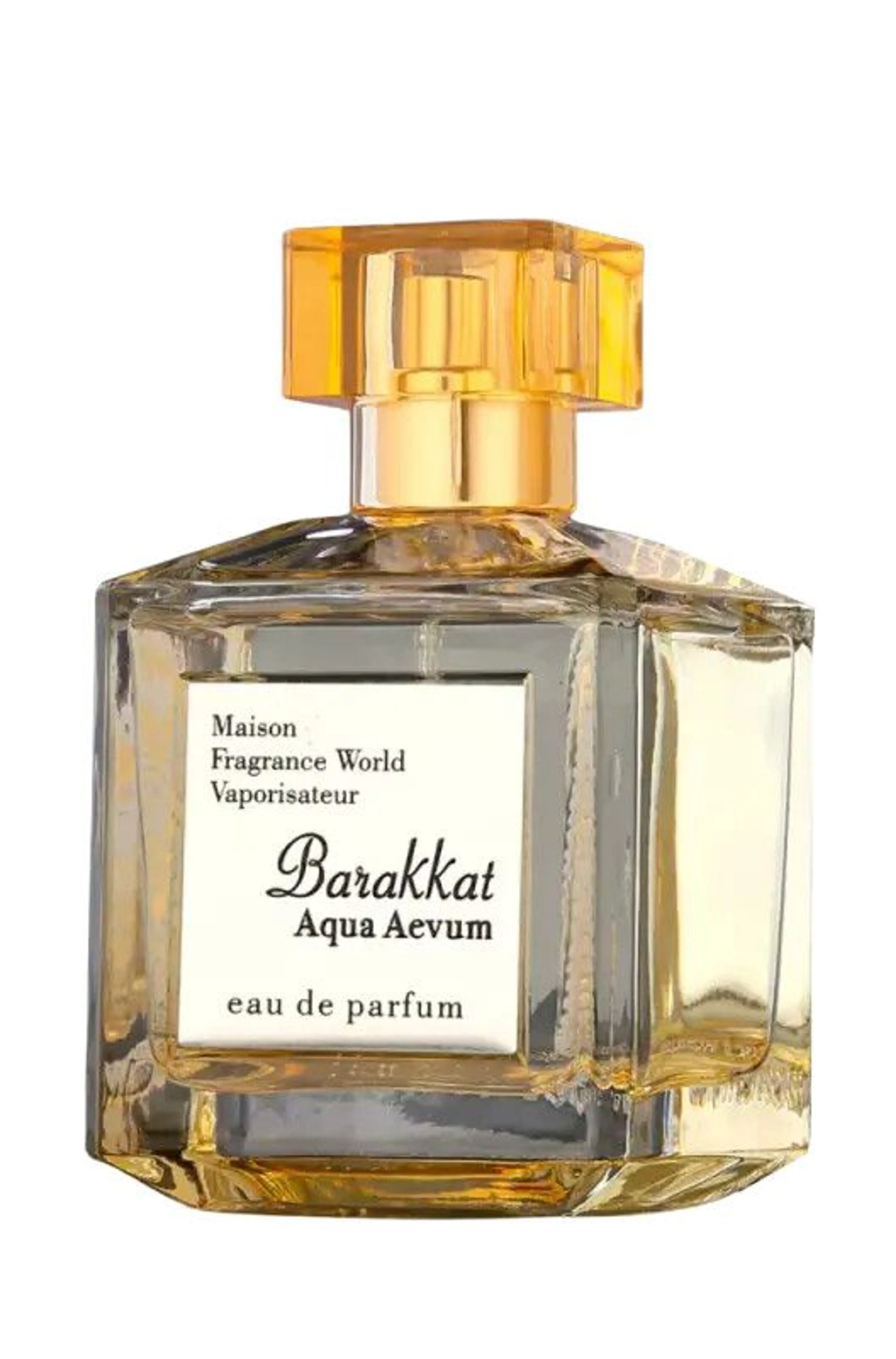 Aqua Aevum