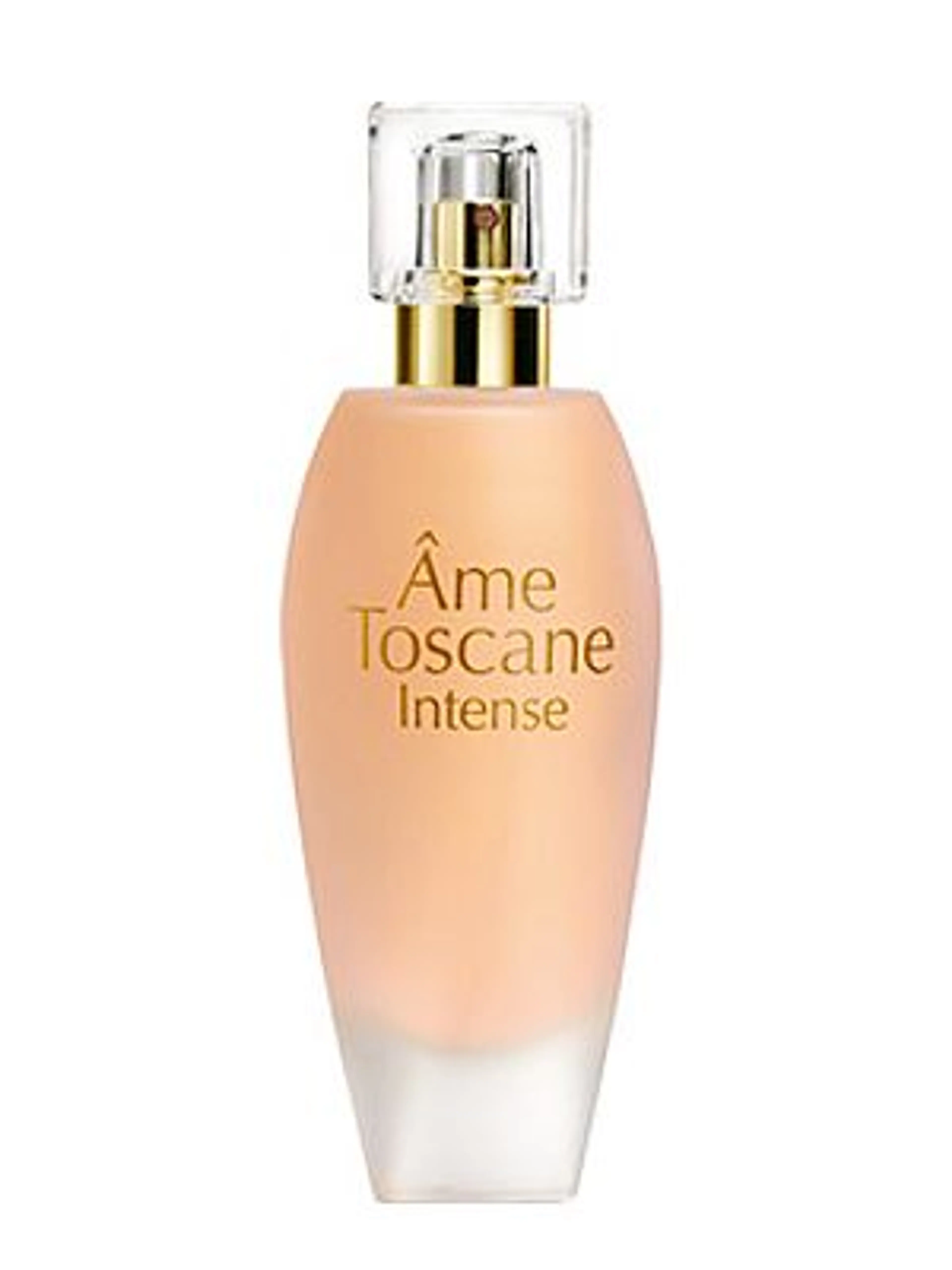 Ame Toscane Intense