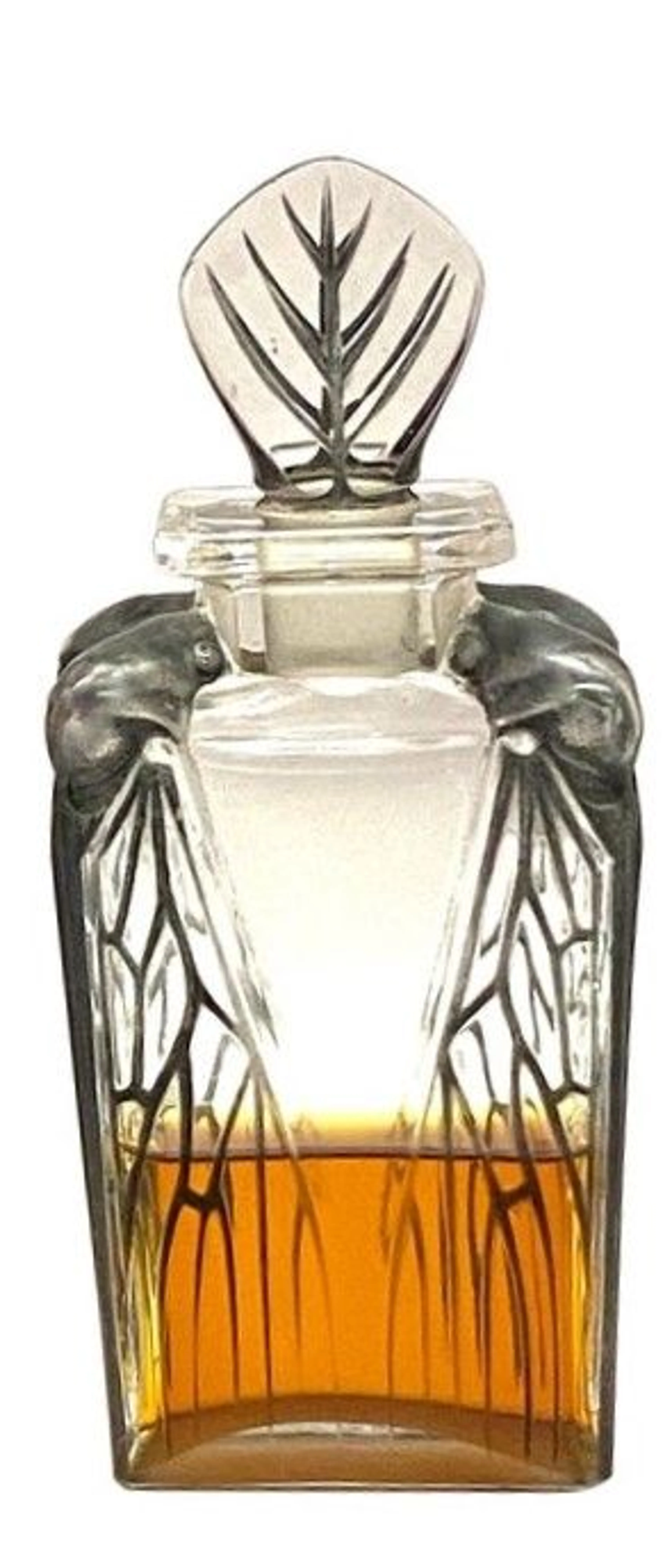 Cigalia