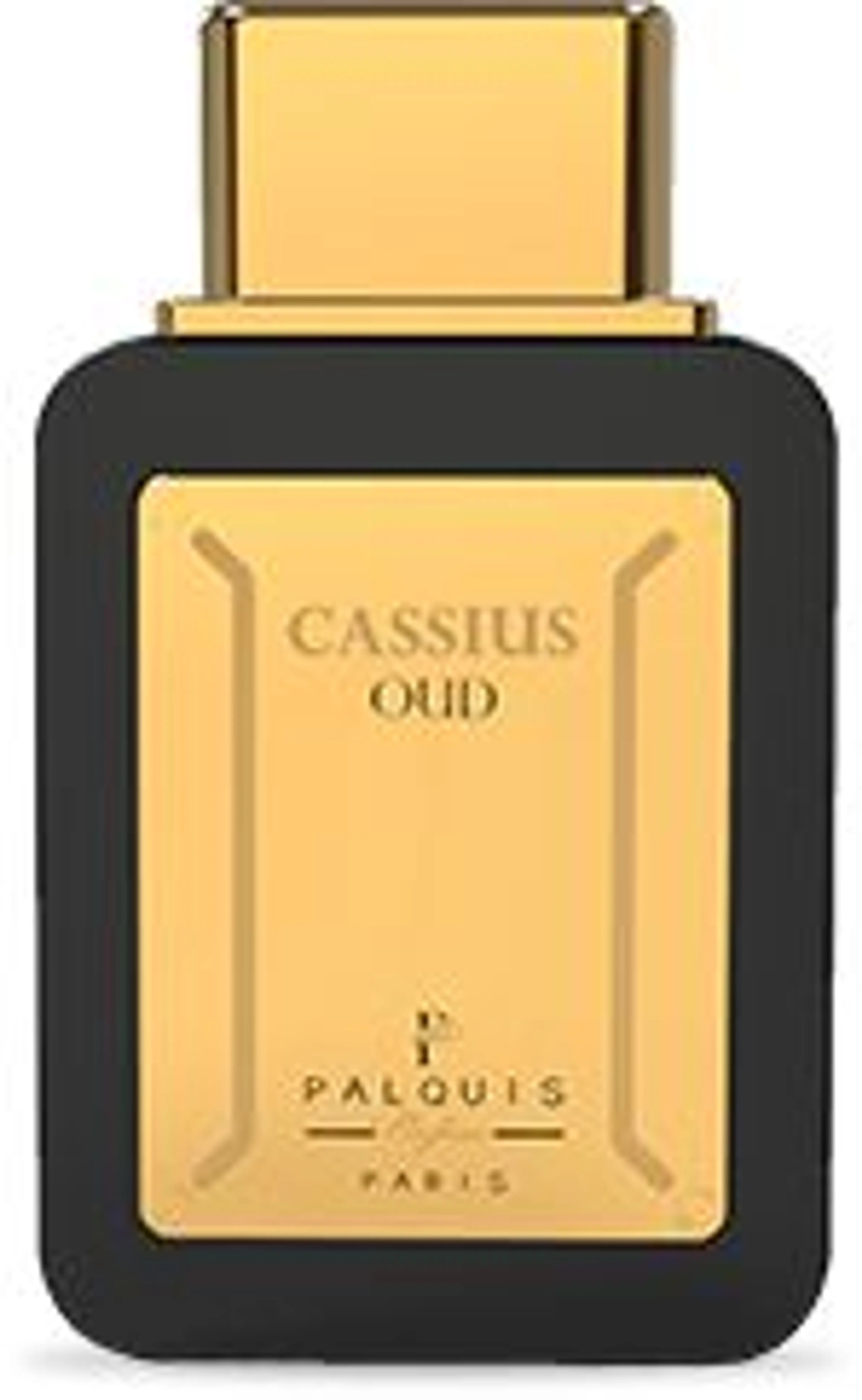 Cassius Oud