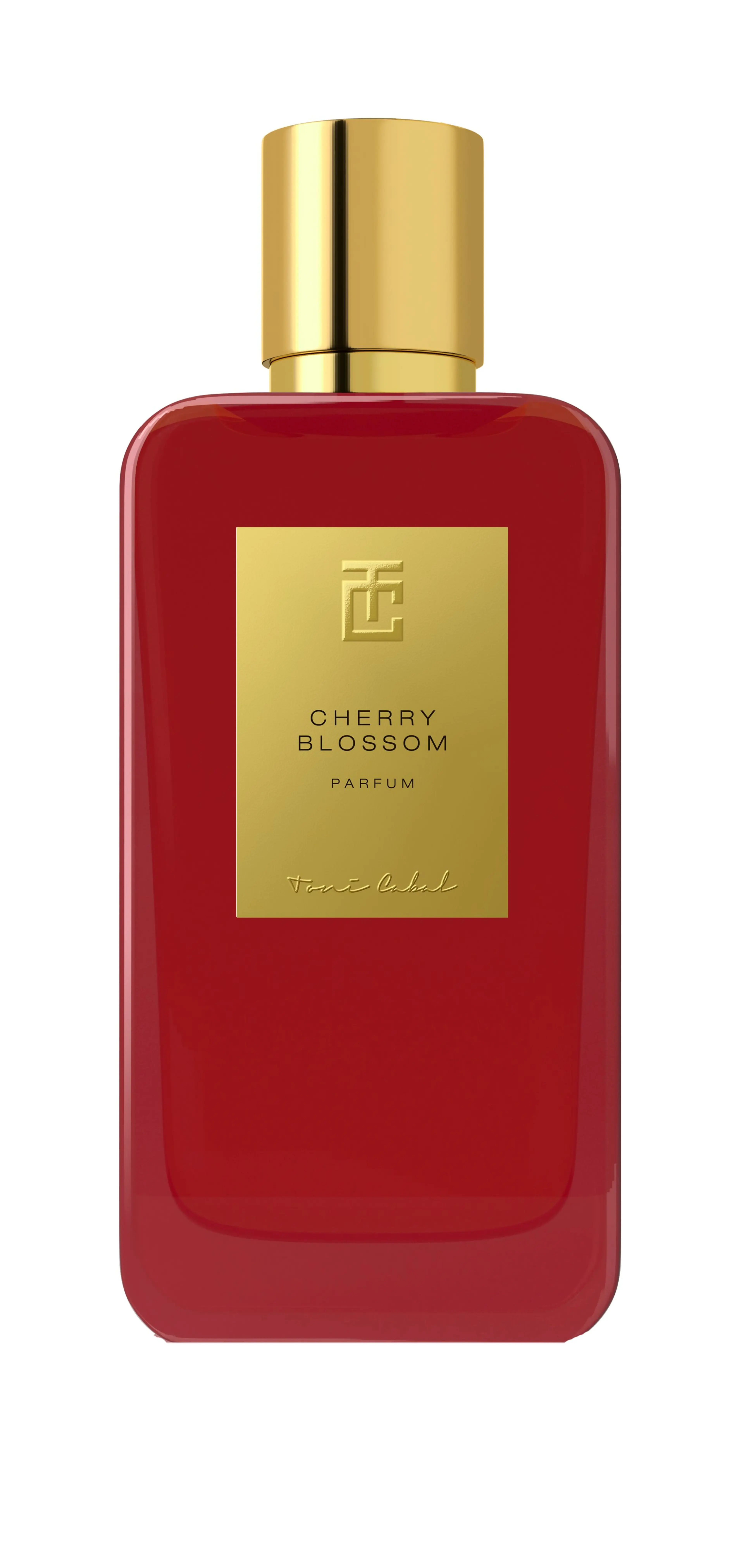 Cherry Blossom
