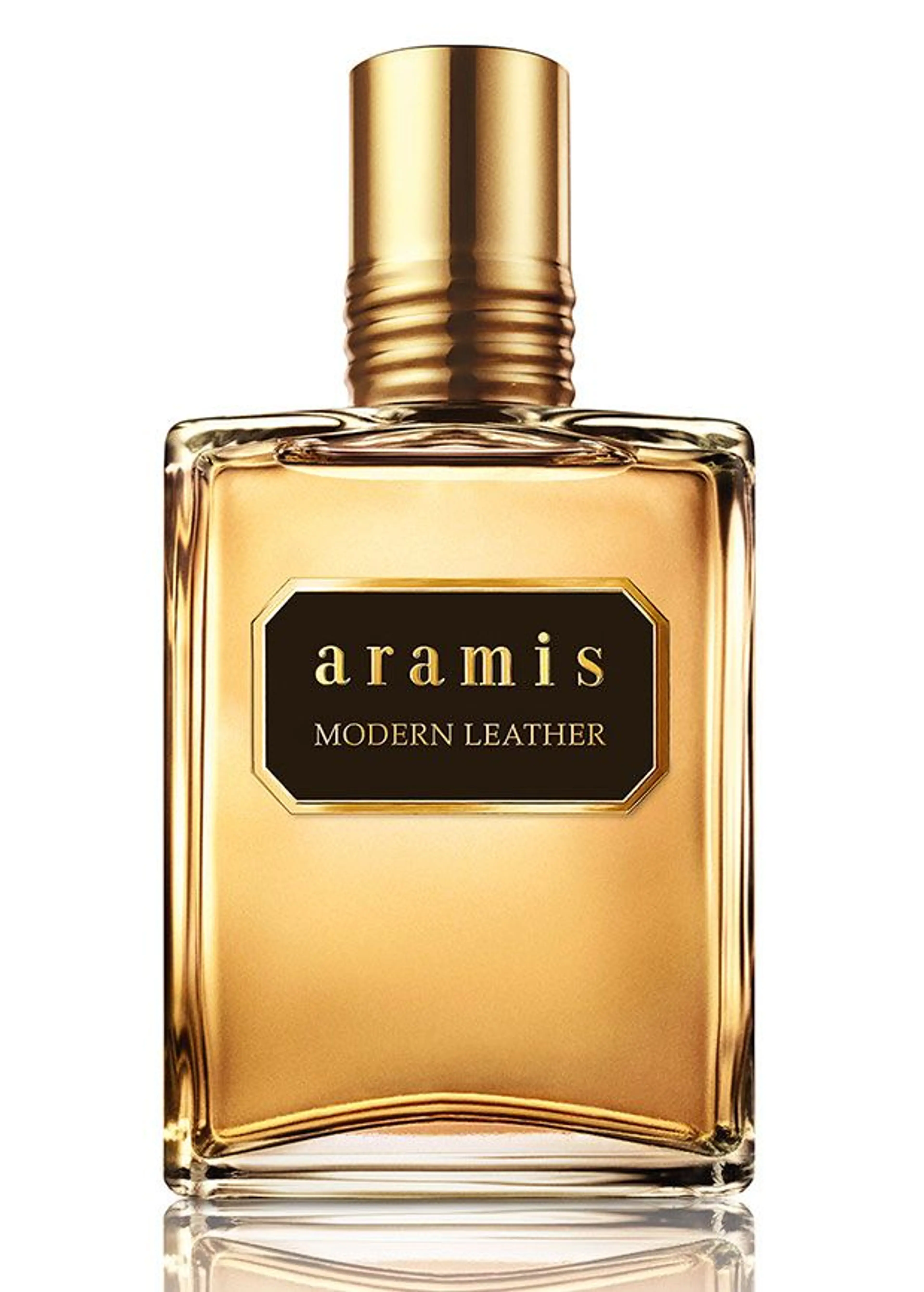 Aramis Modern Leather