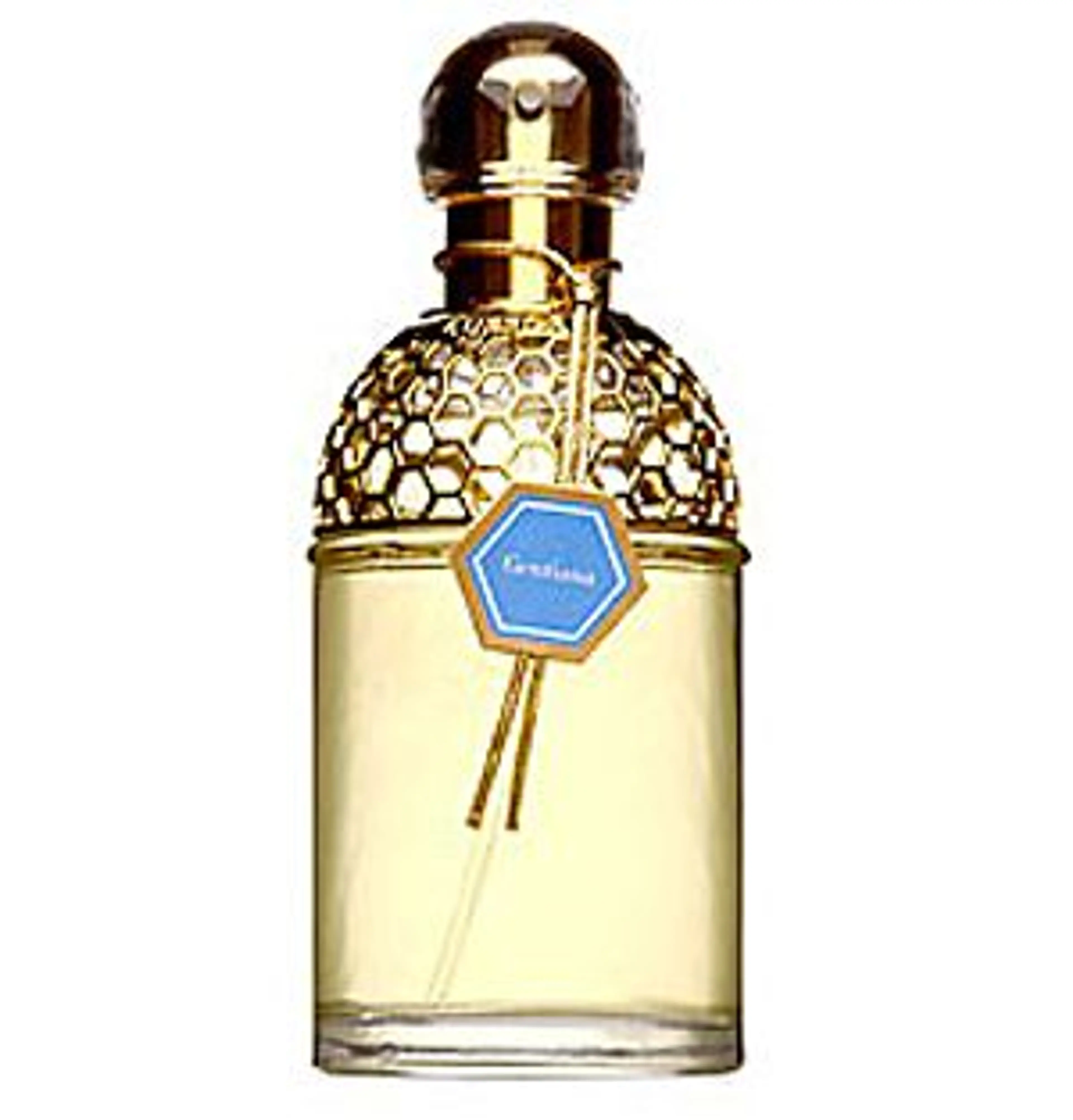 Aqua Allegoria Gentiana