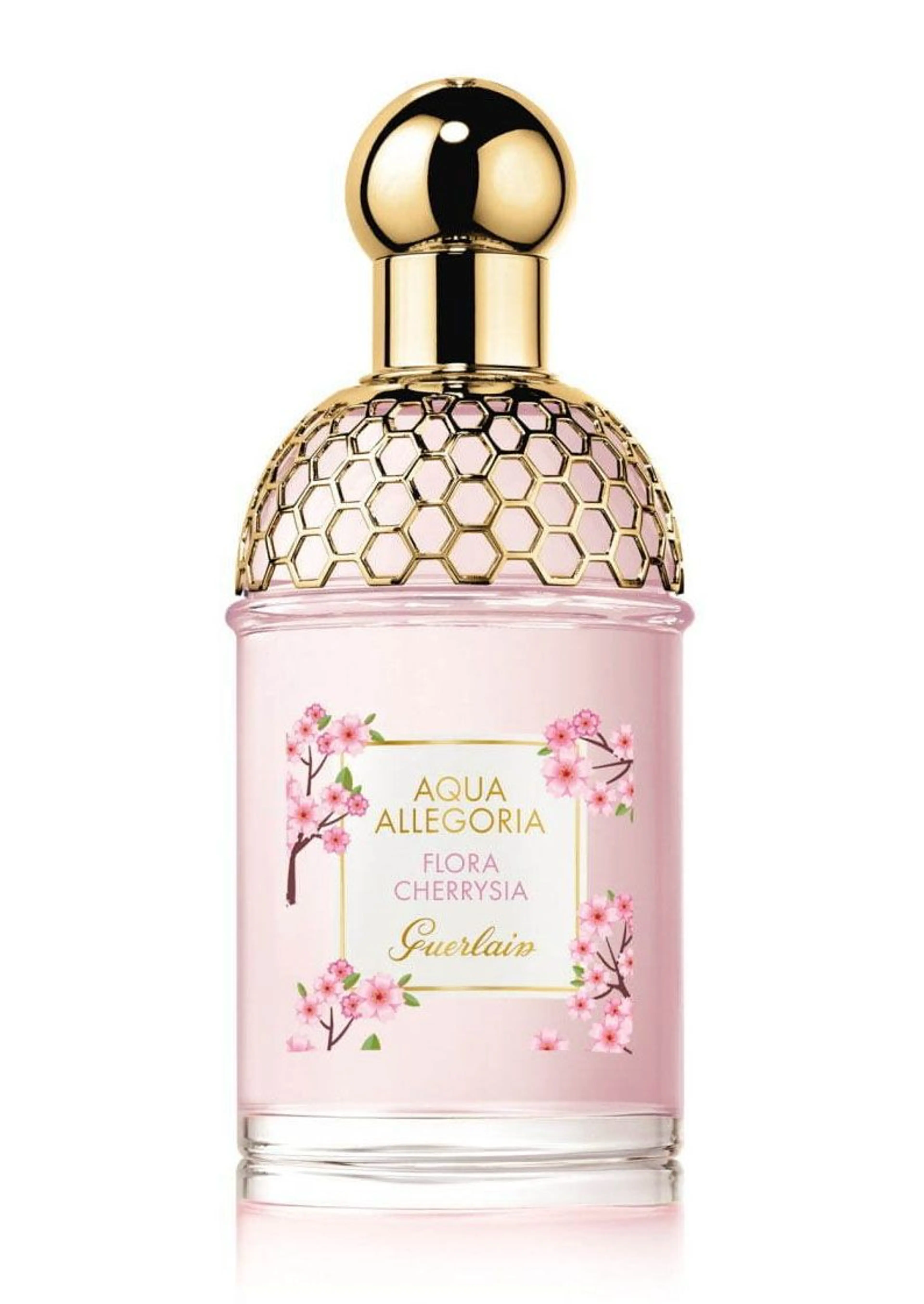 Aqua Allegoria Flora Cherrysia (Sakura Collection 2020)