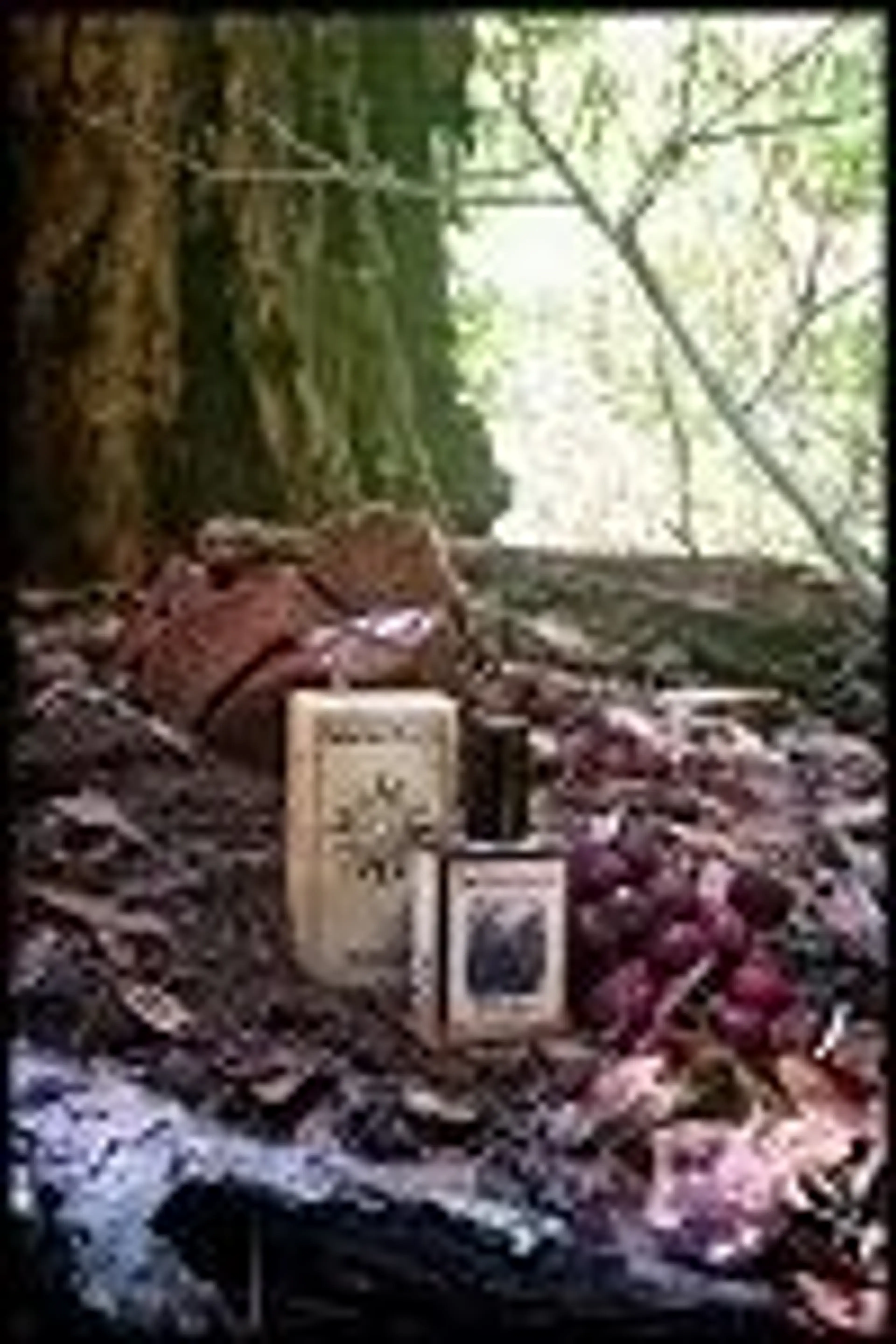 Black Forest