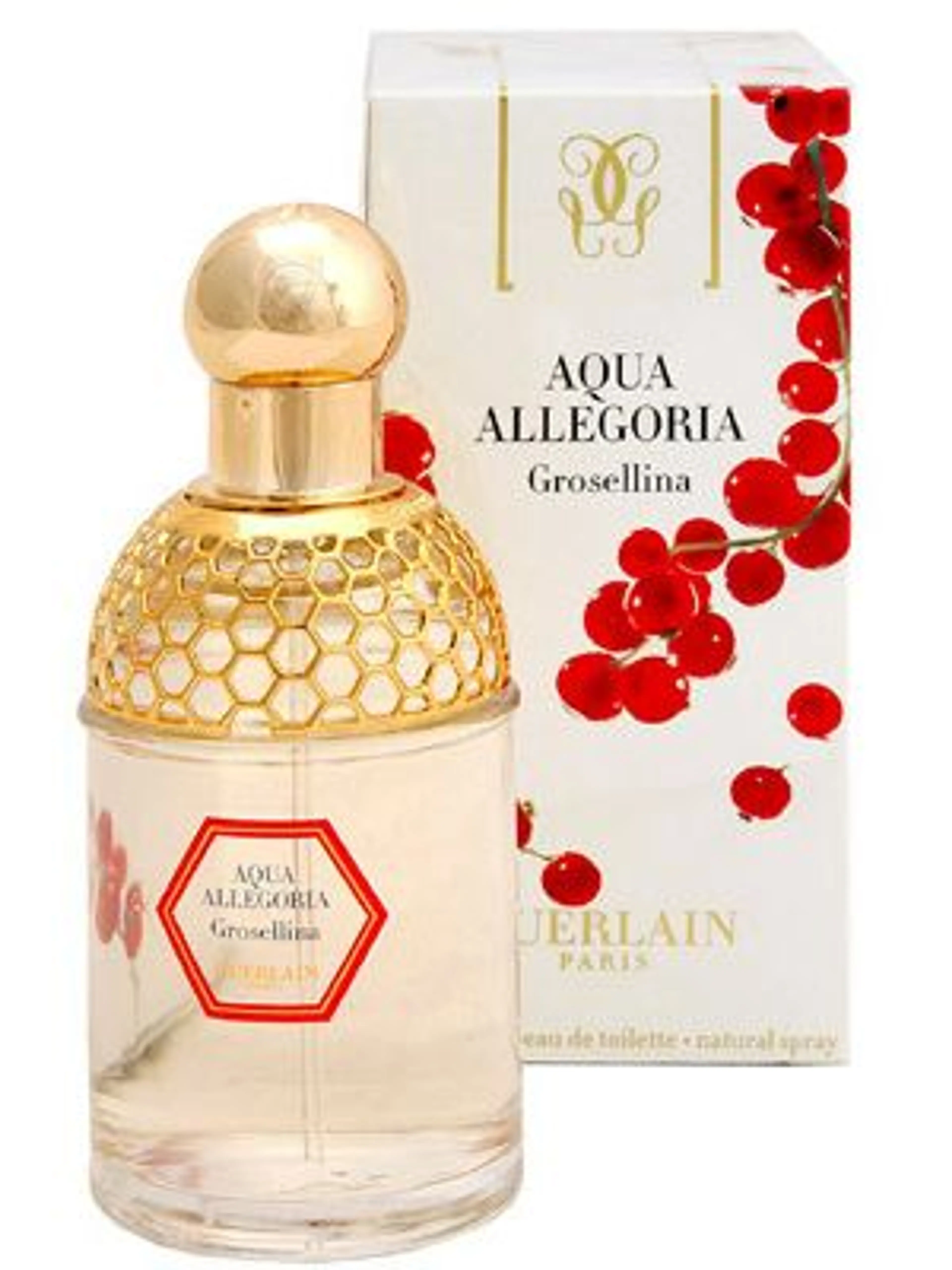 Aqua Allegoria Grosellina