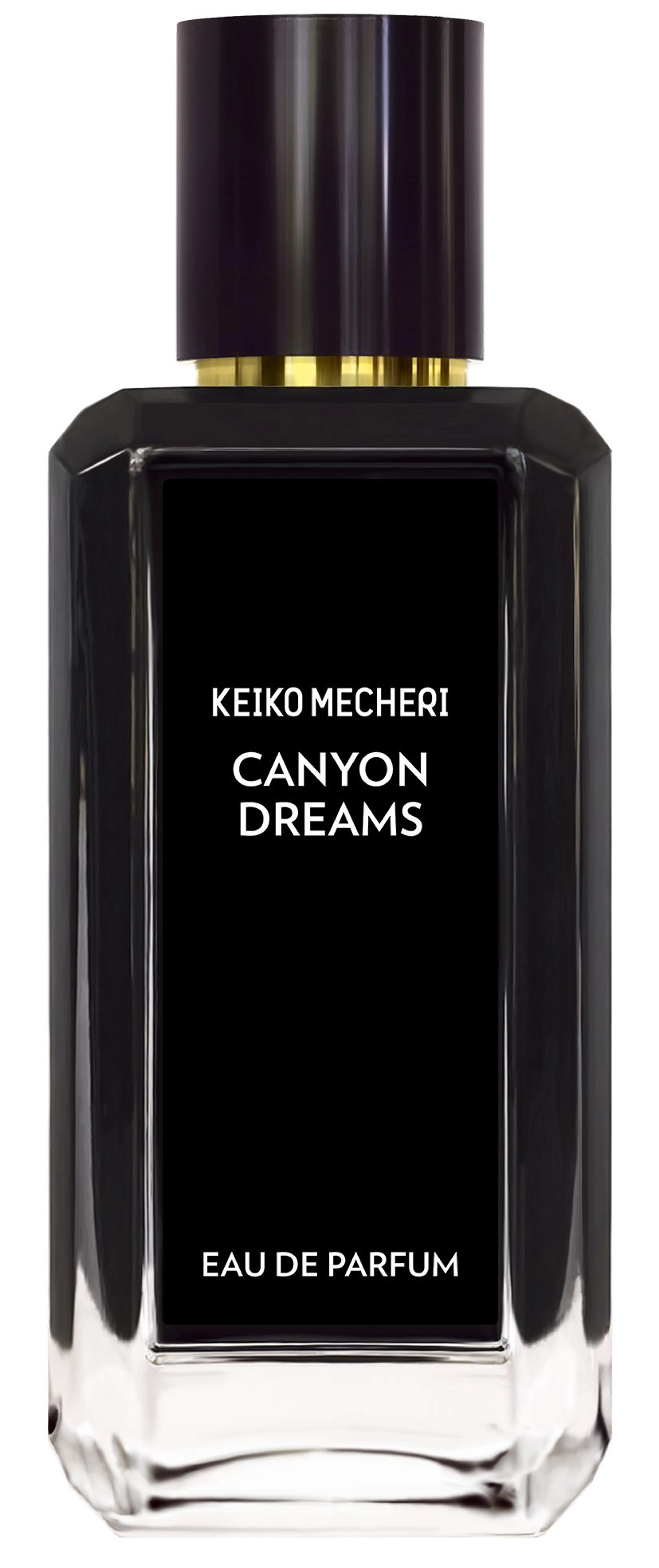 Canyon Dreams