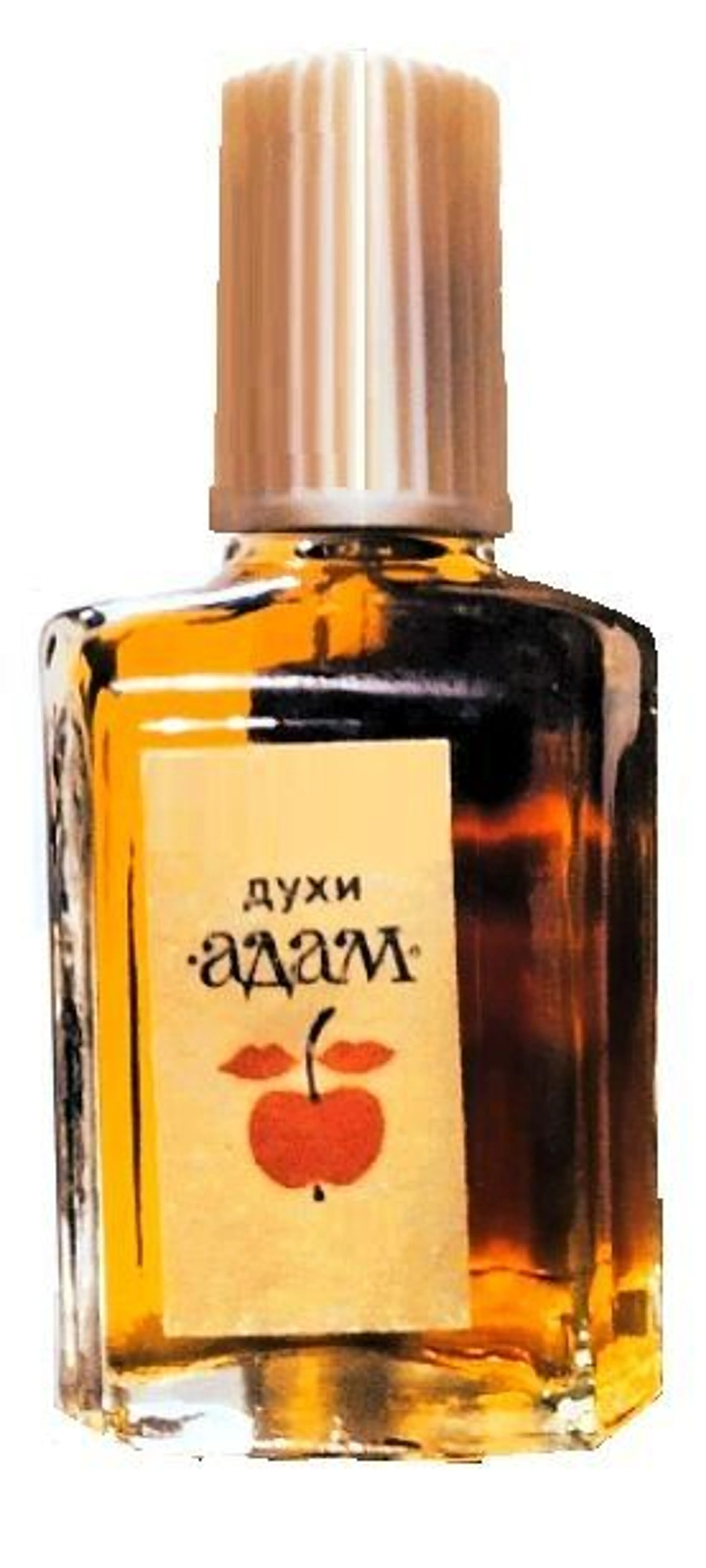 Адам - Adam