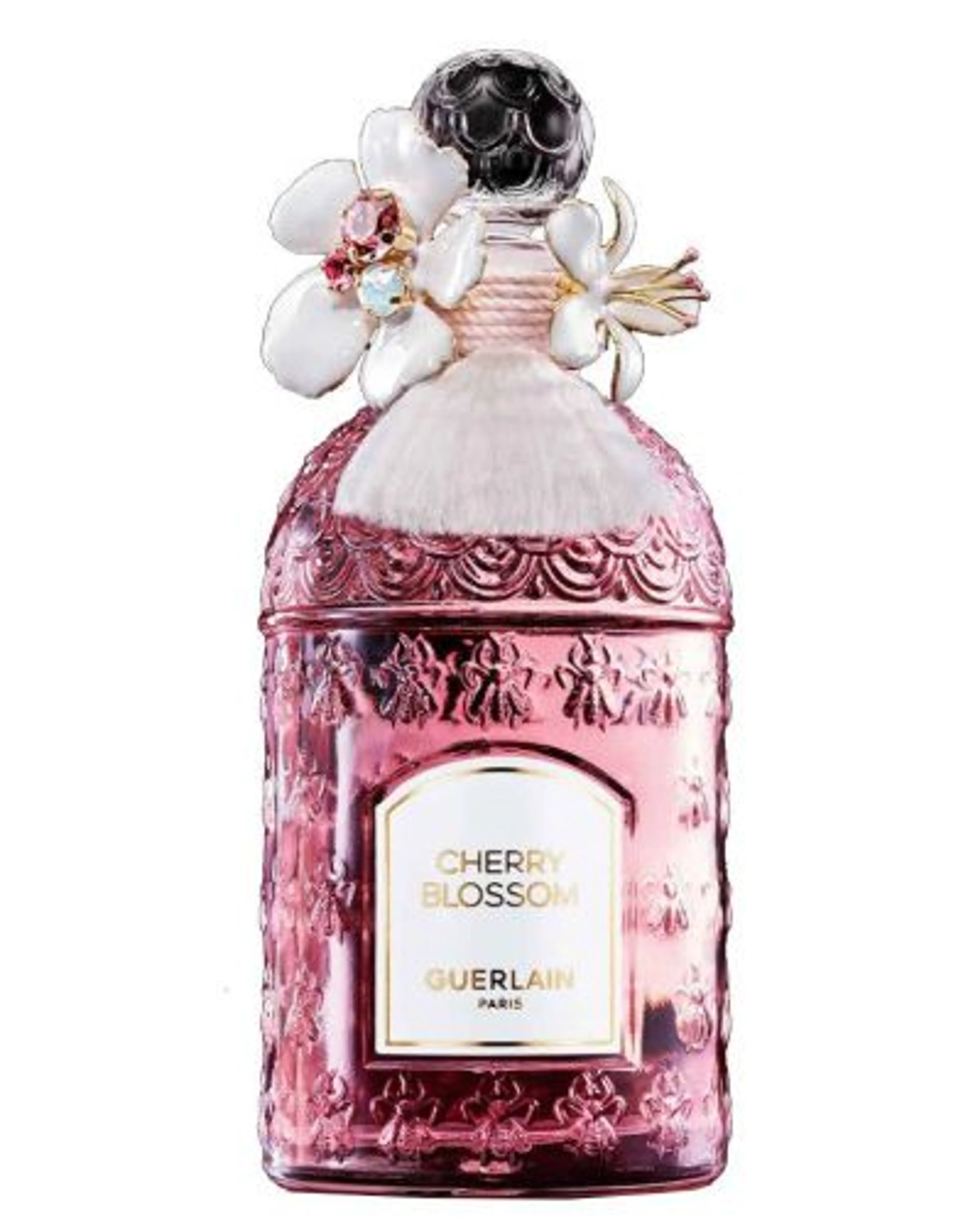 Cherry Blossom Millésime 2024