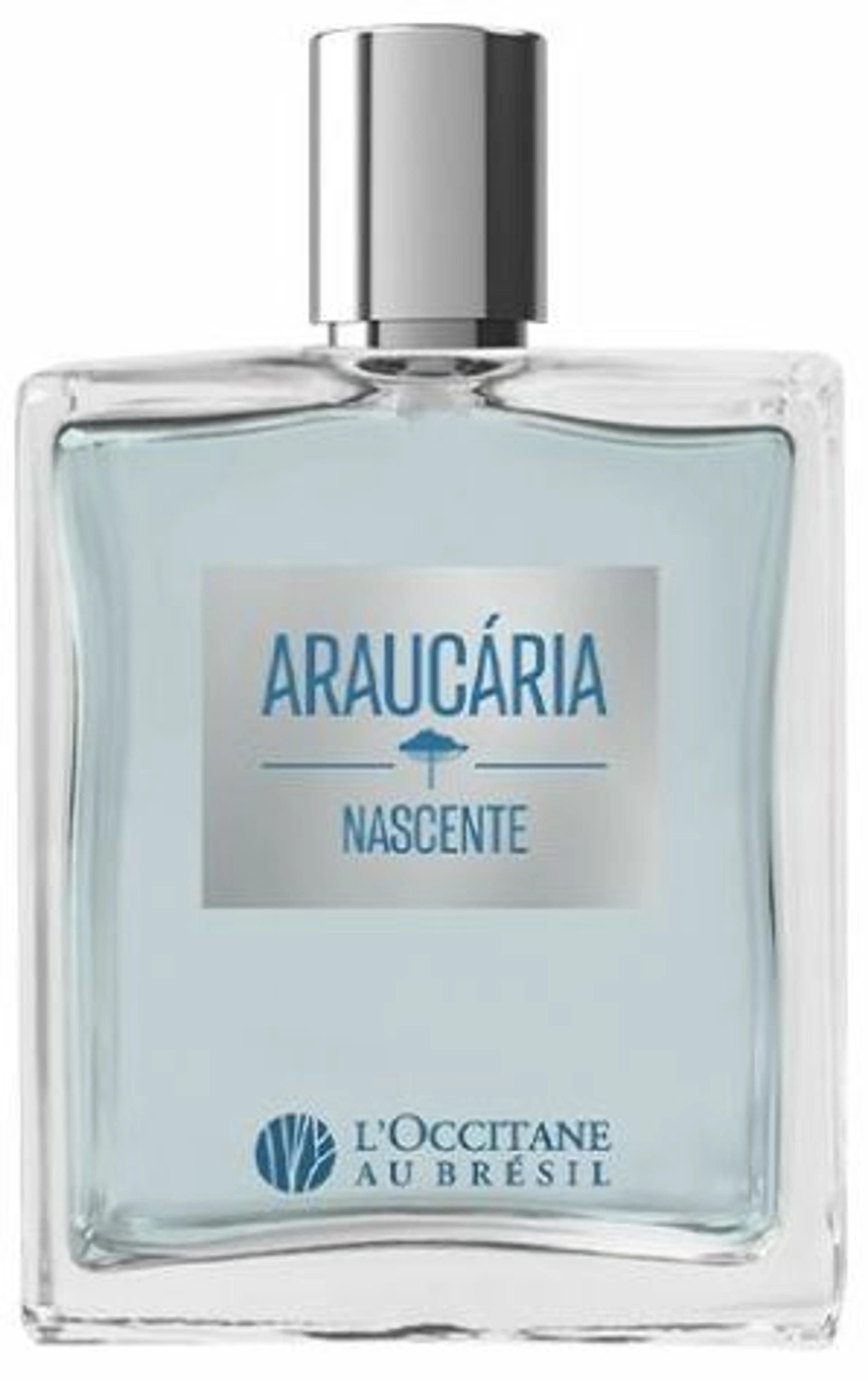 Araucária Nascente