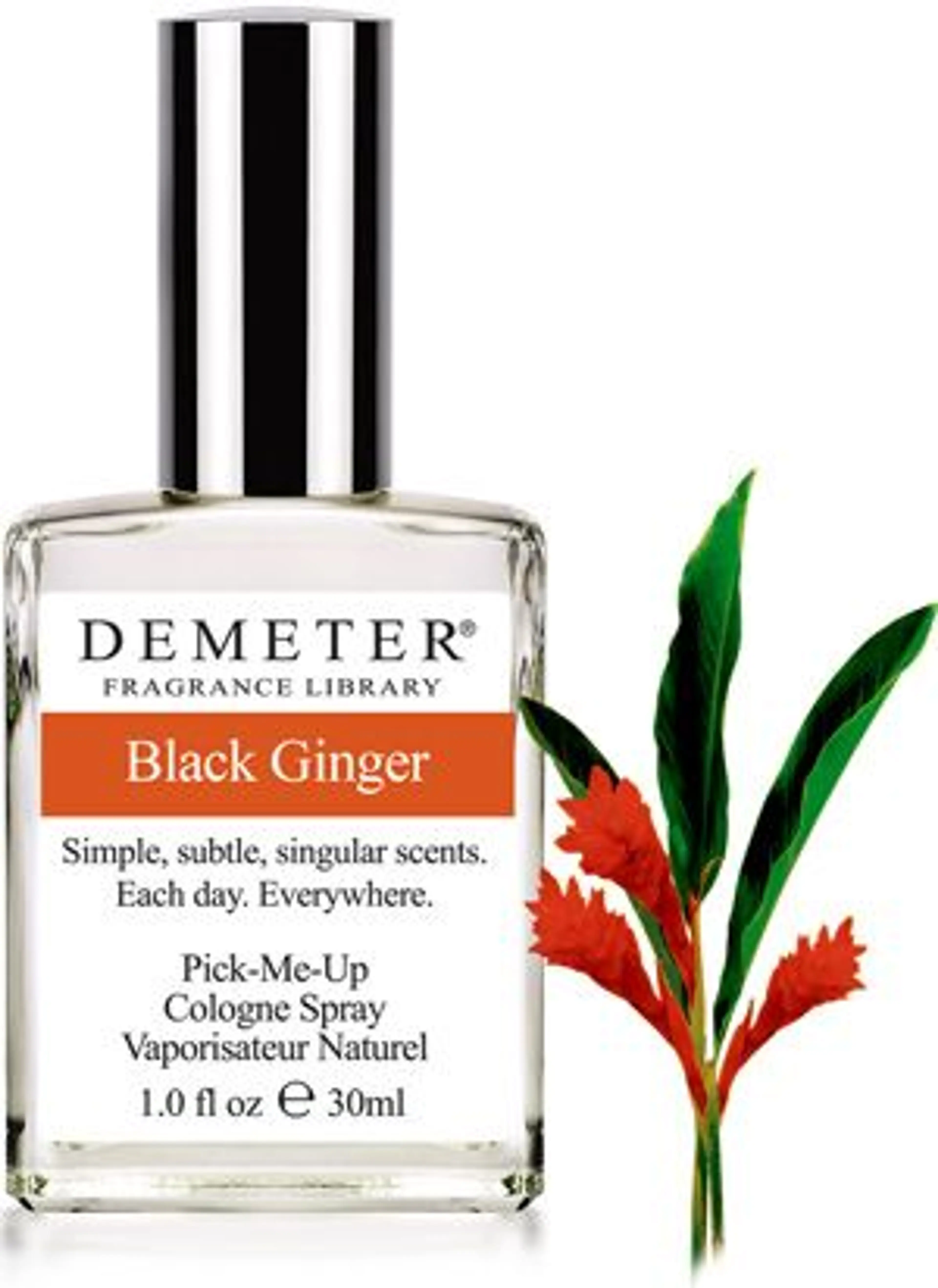 Black Ginger