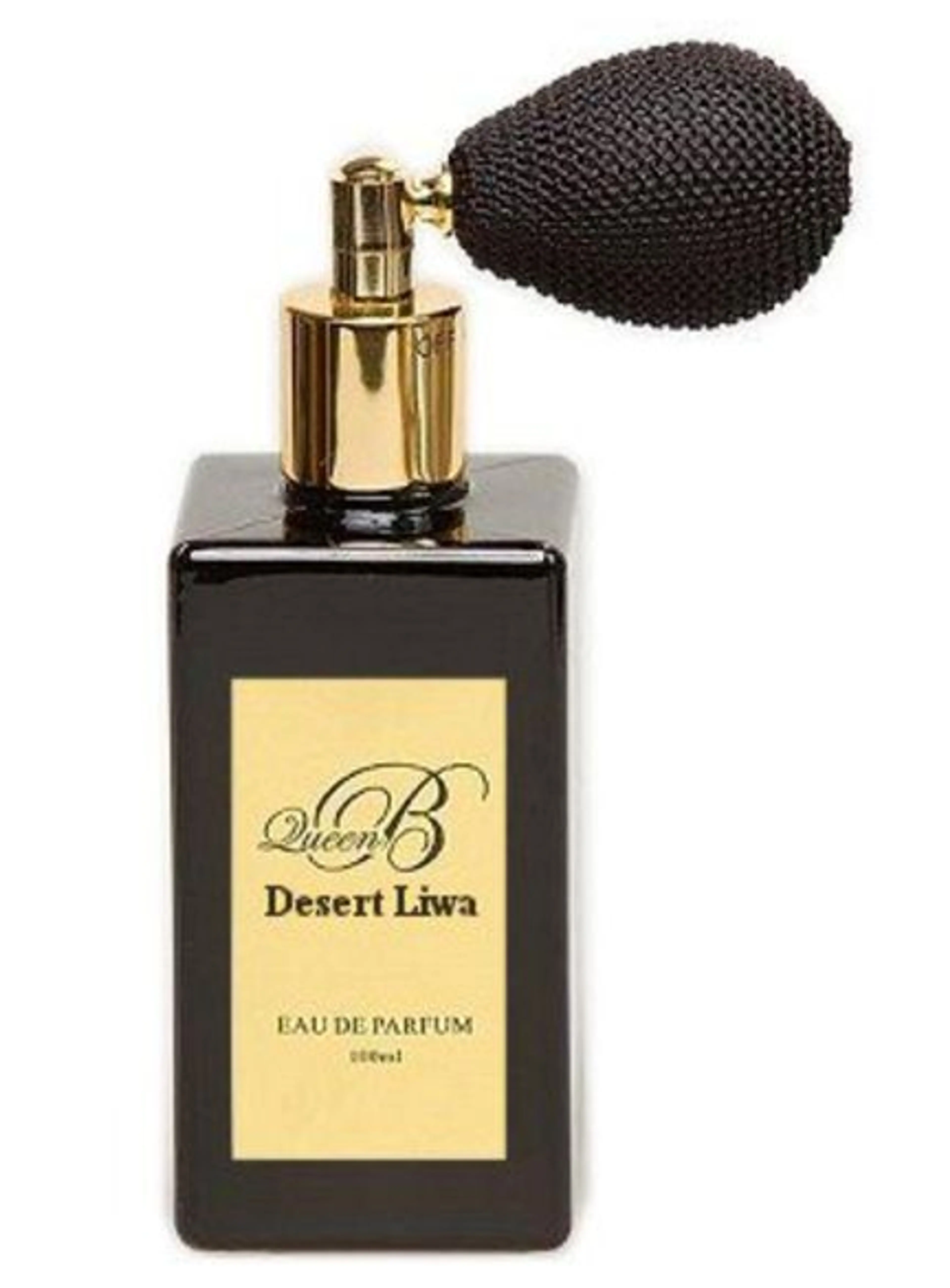 Desert Liwa