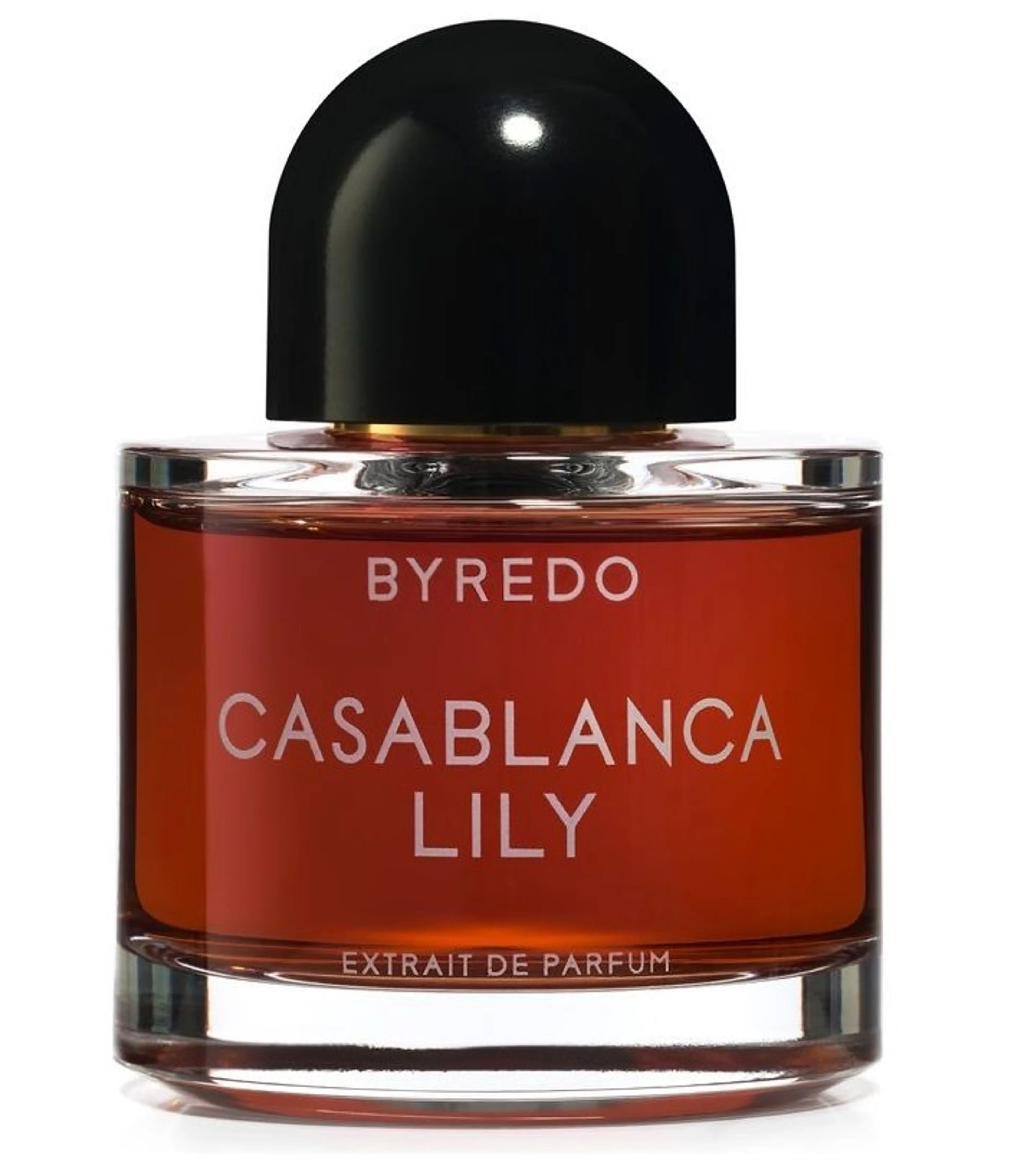 Casablanca Lily (2019)