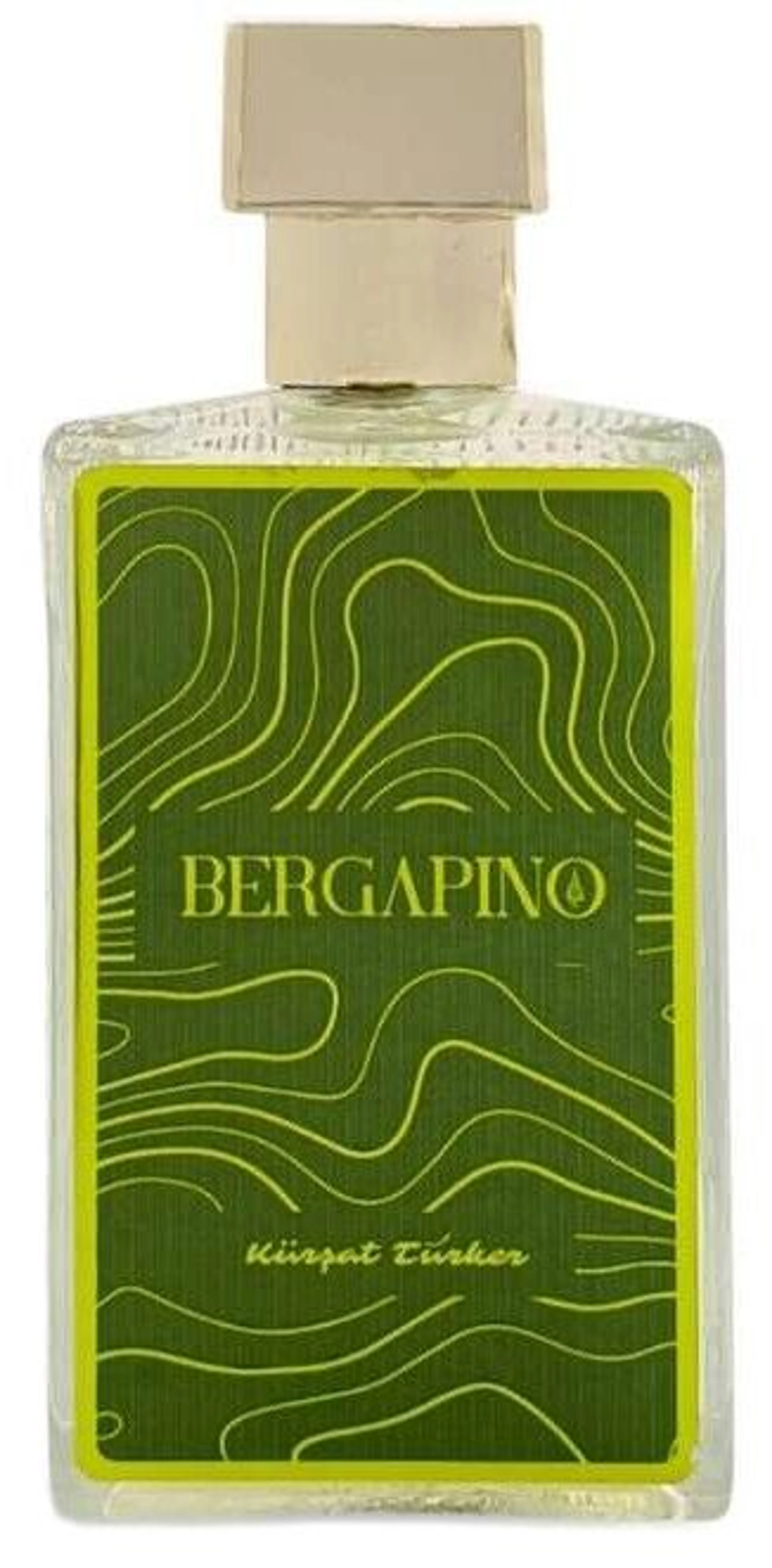Bergapino
