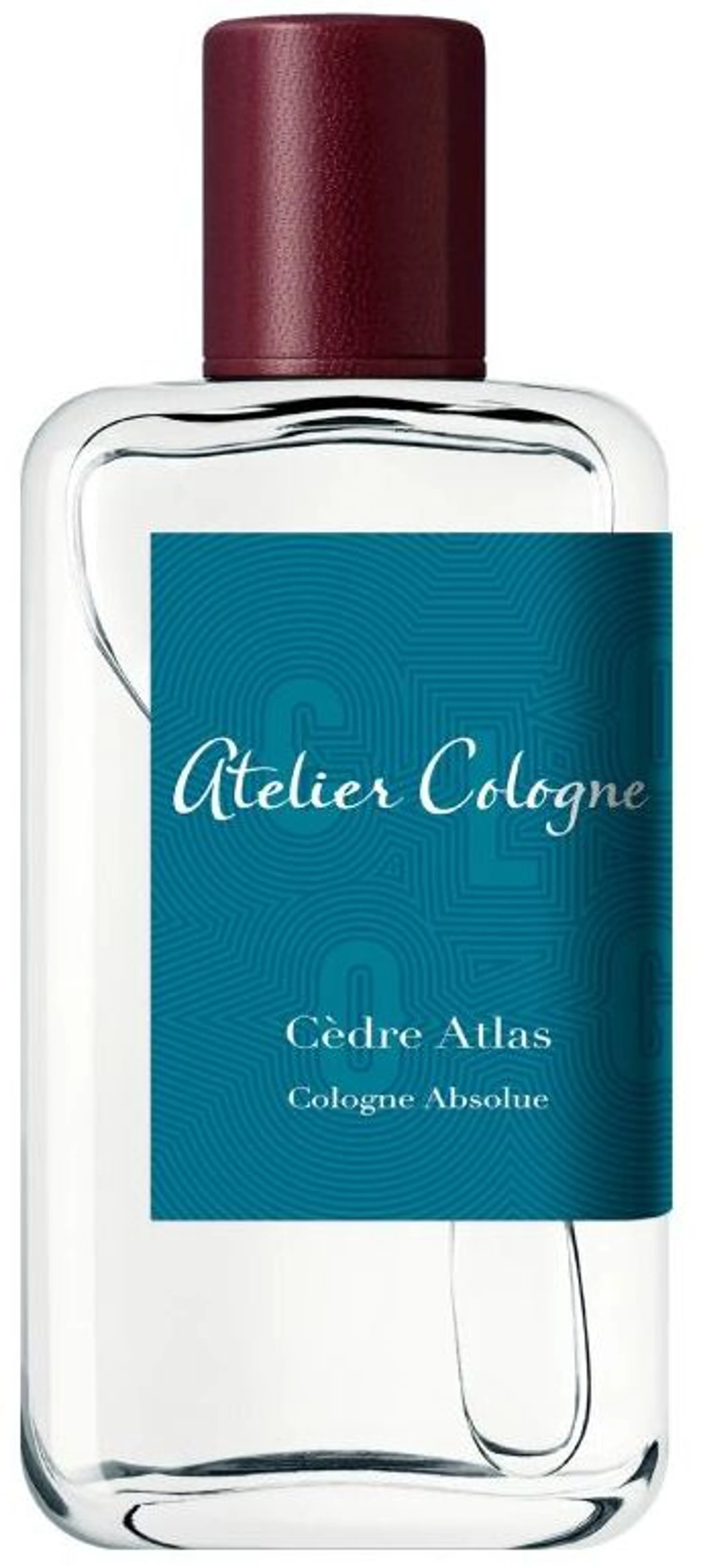 Cedre Atlas