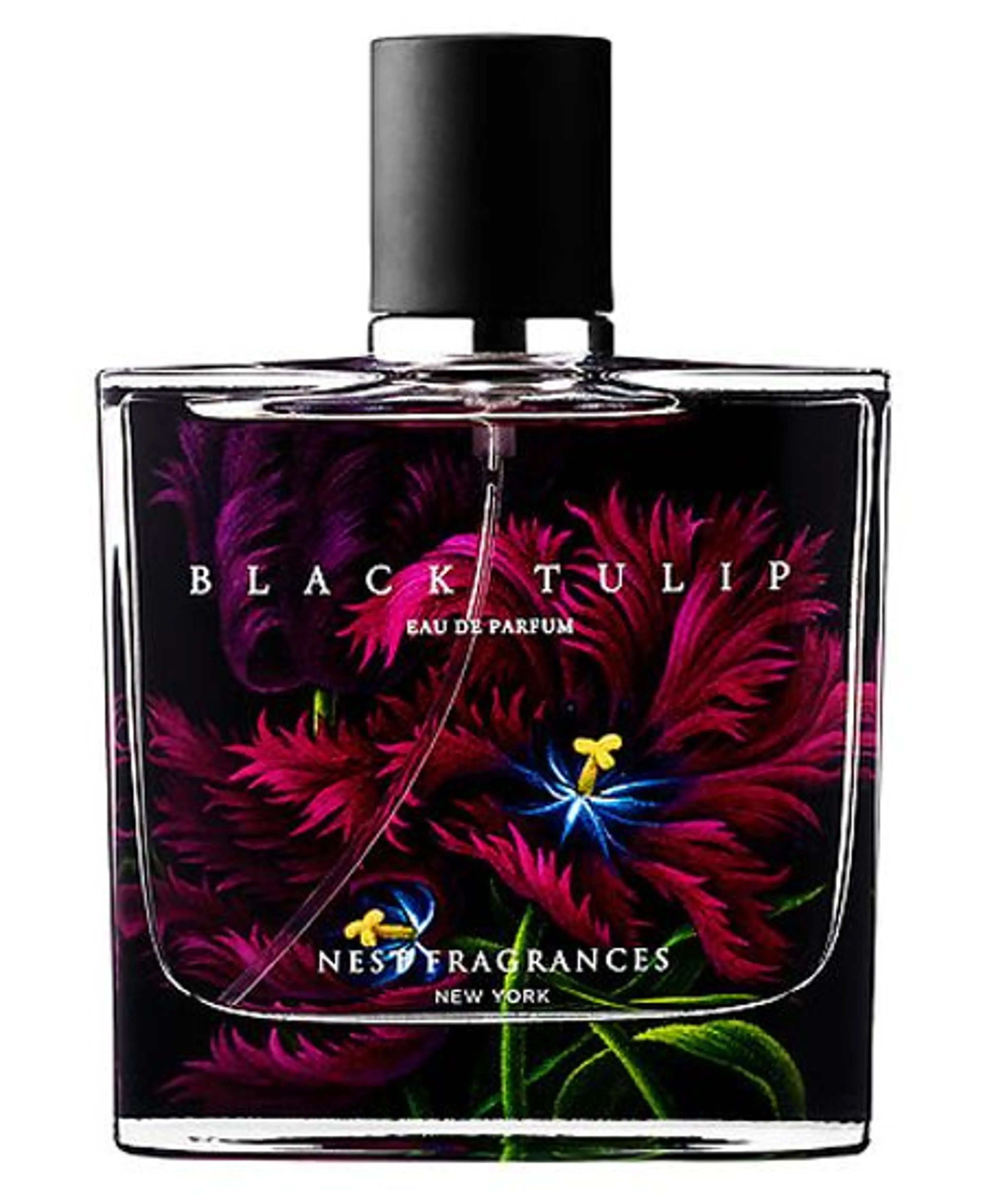 Black Tulip