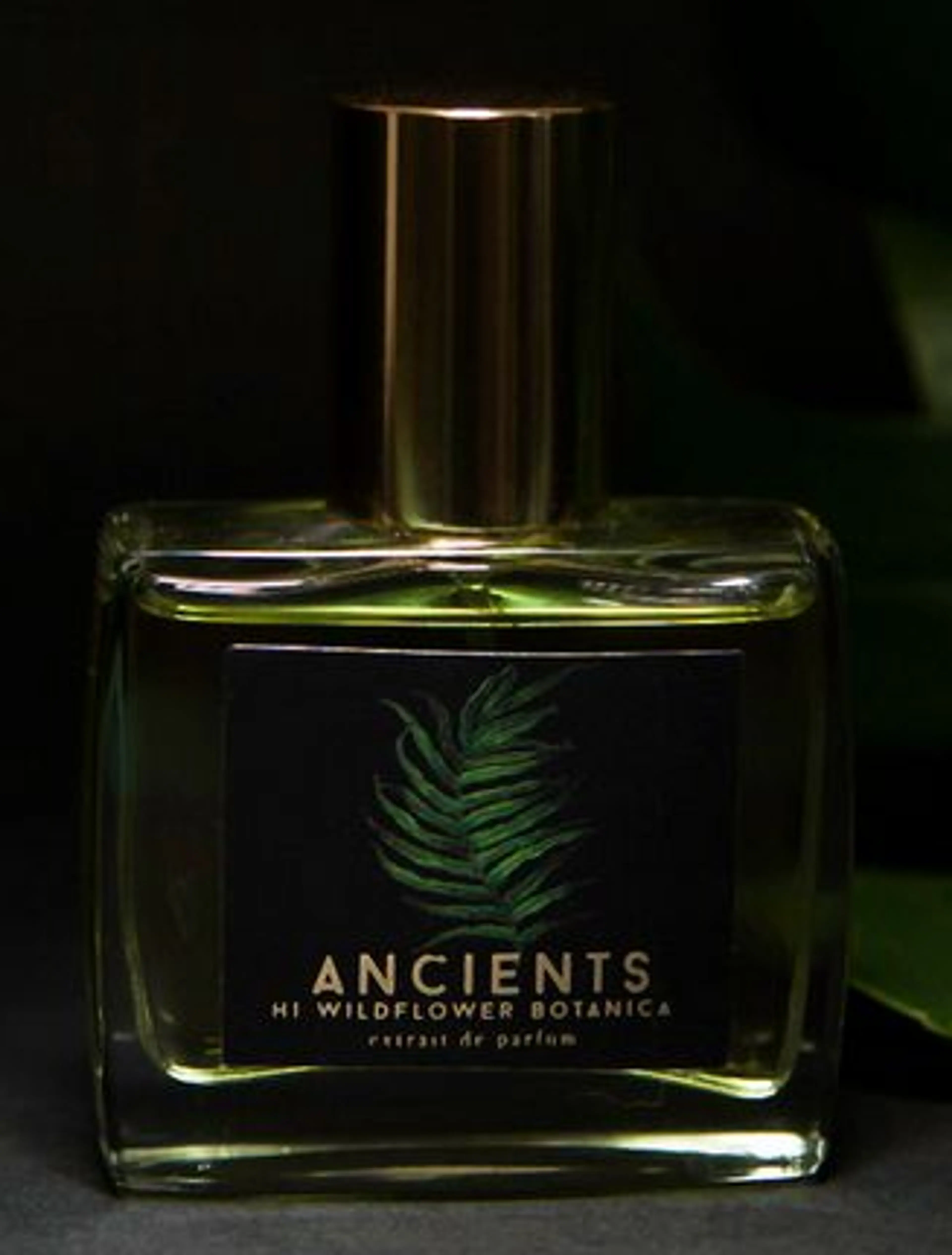 Ancients