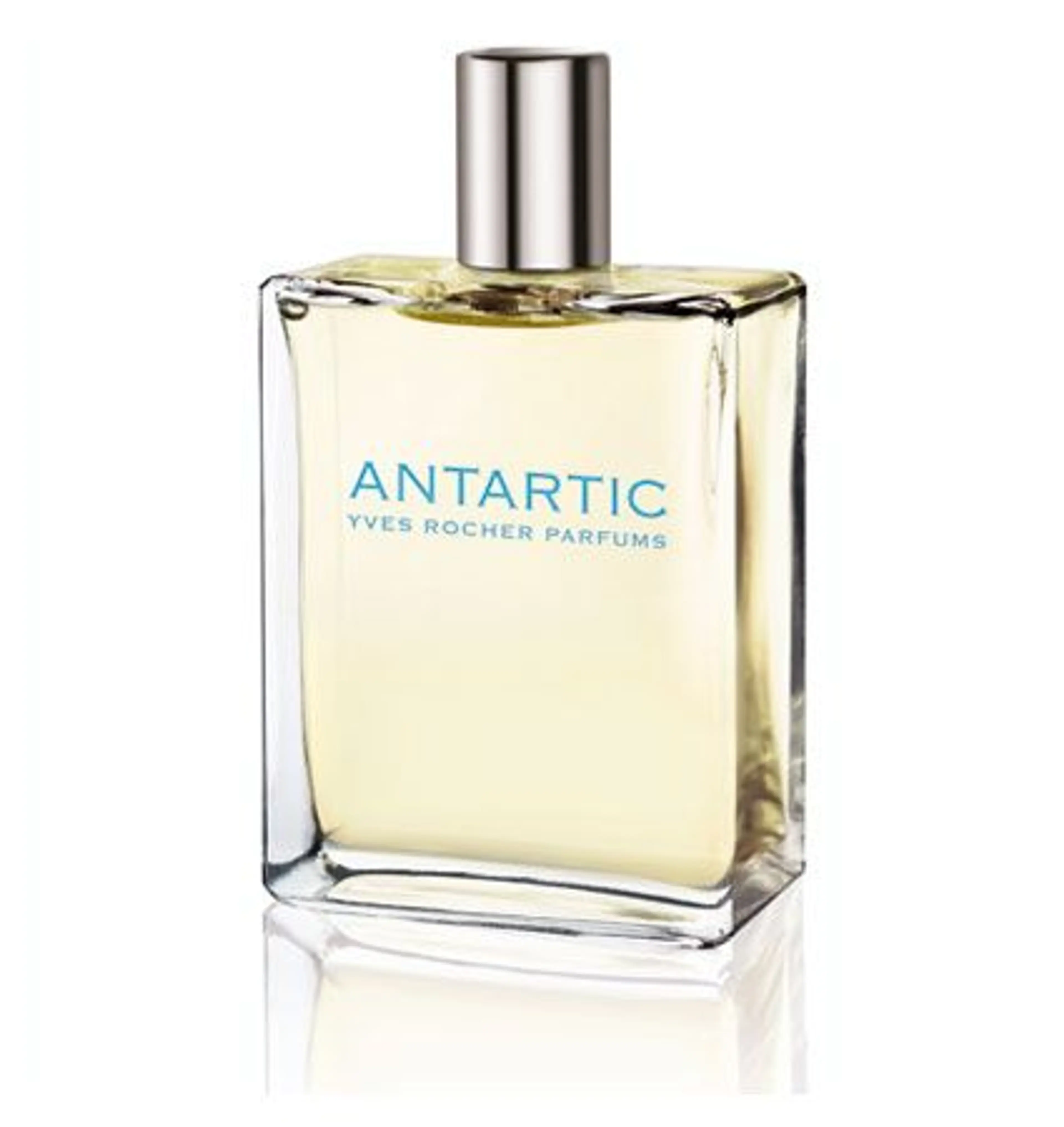 Antartic Reedition 2008