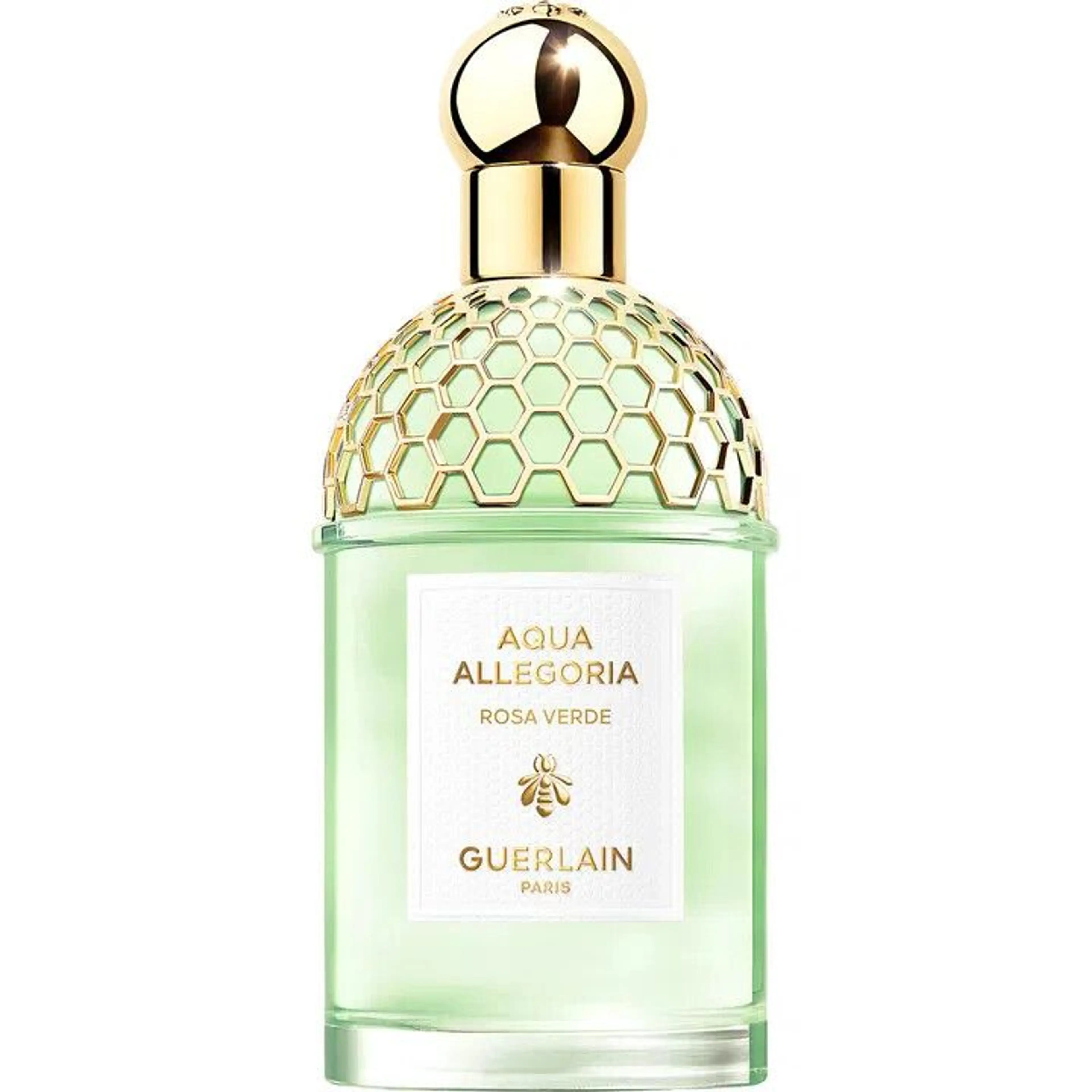 Aqua Allegoria Rosa Verde