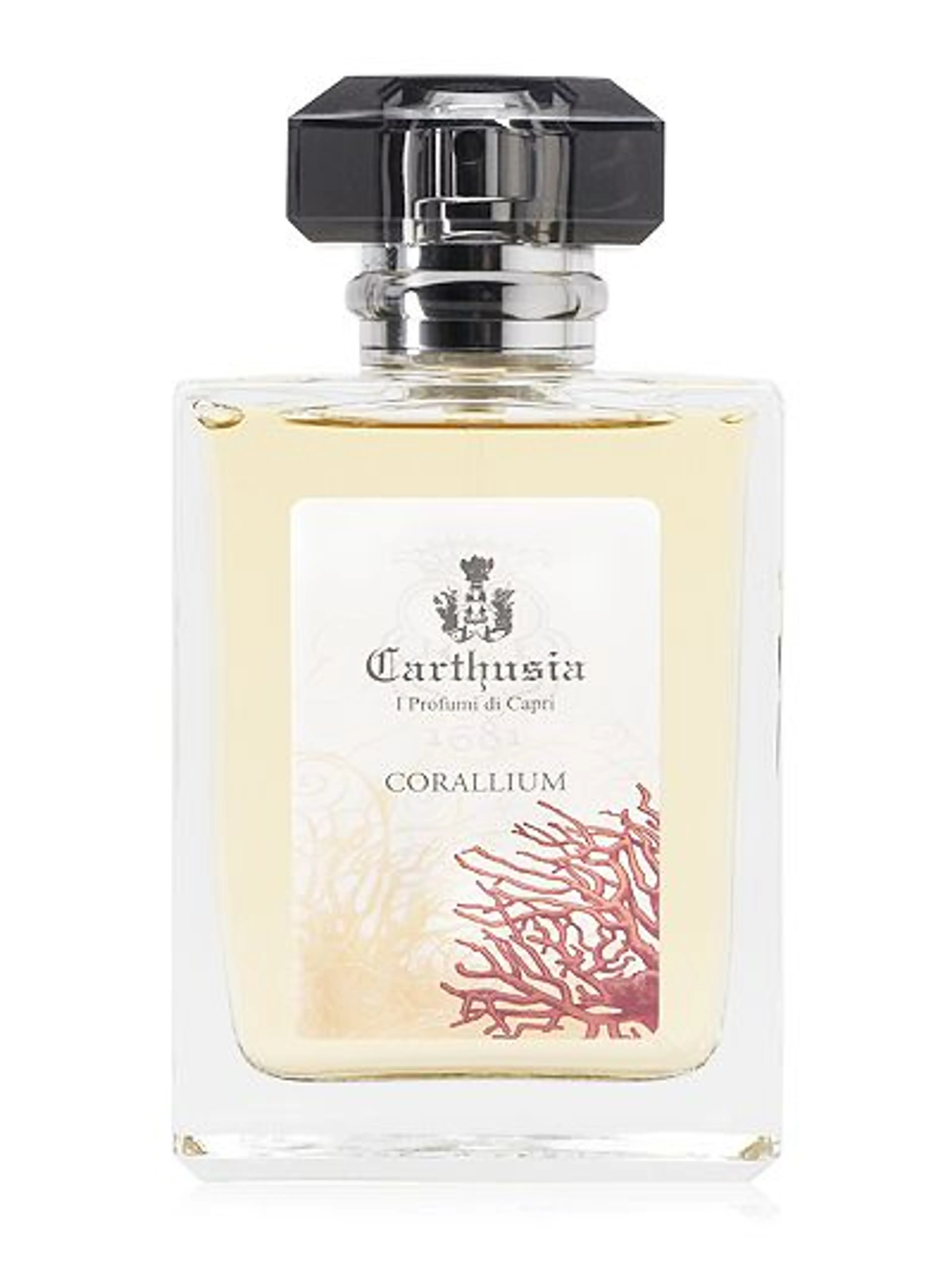 Corallium
