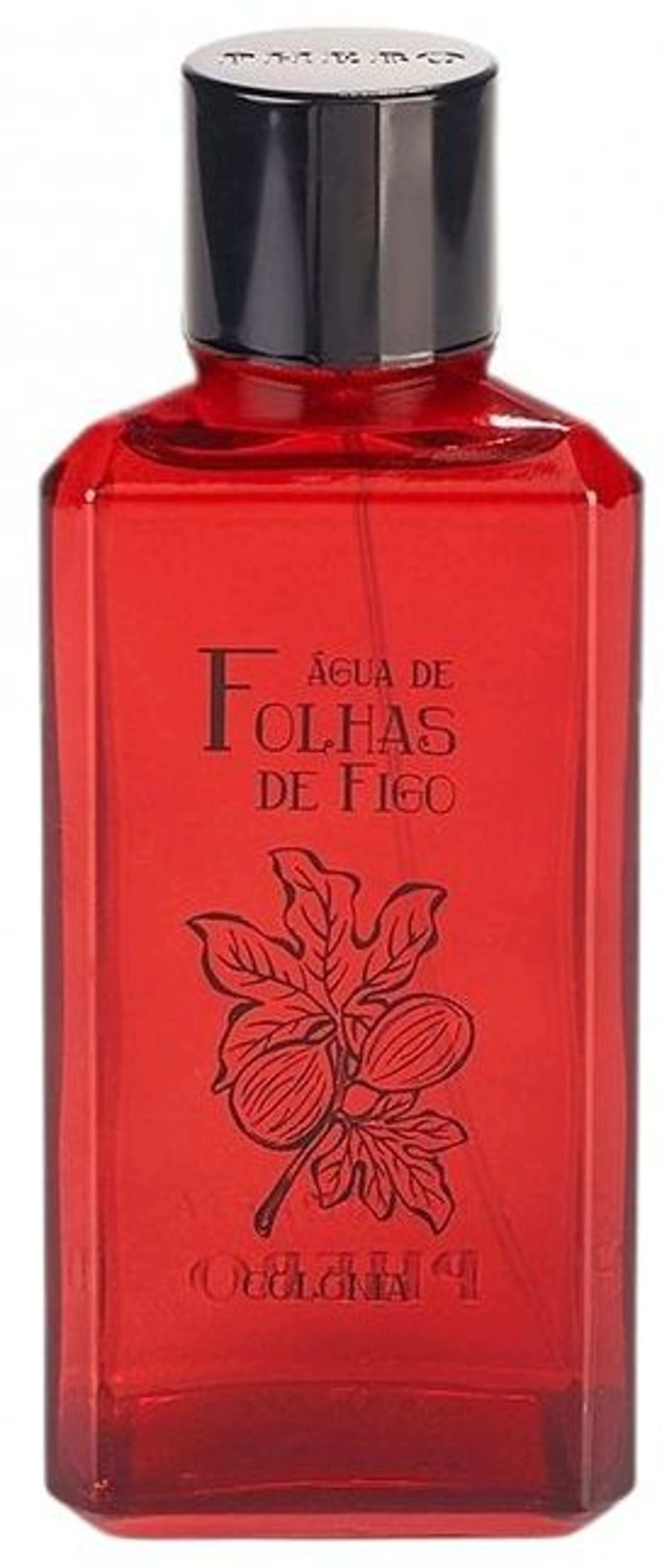 Água de Folhas de Figo